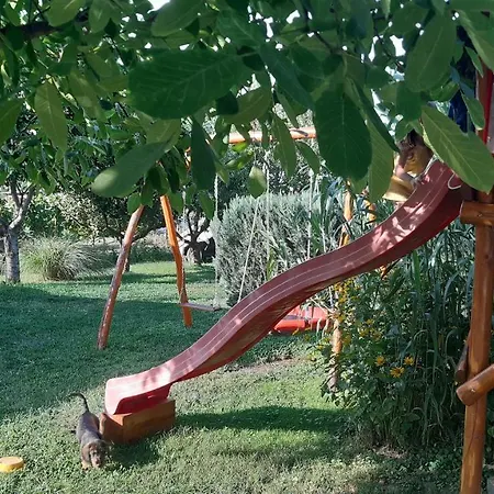 Hajnalka Vendeghaz *