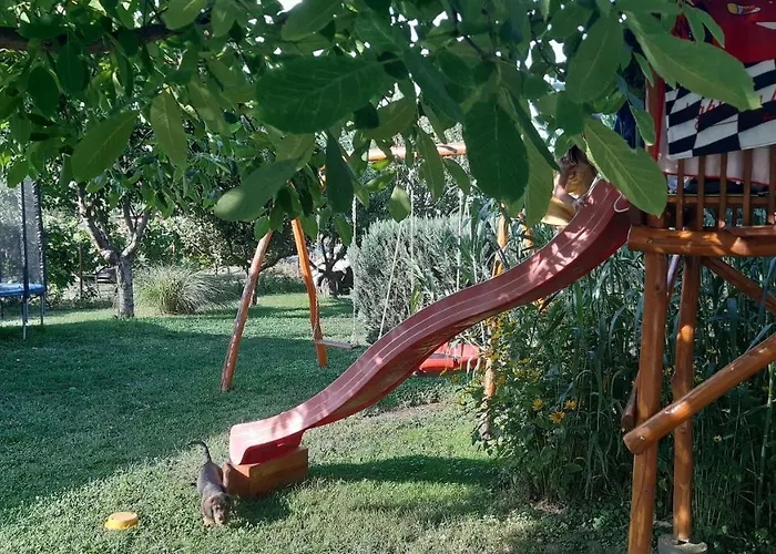 Hajnalka Vendeghaz *